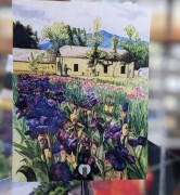 Postcard depicting iris fields